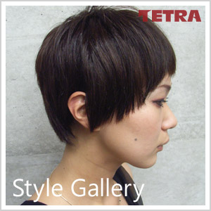 Style Gallery